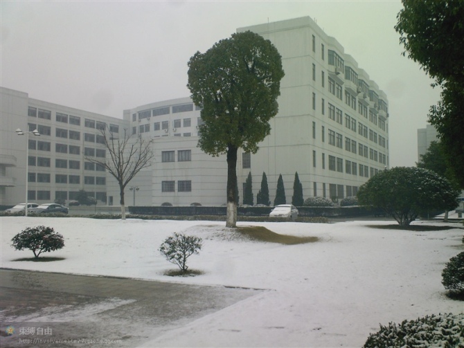 再见，虎年
